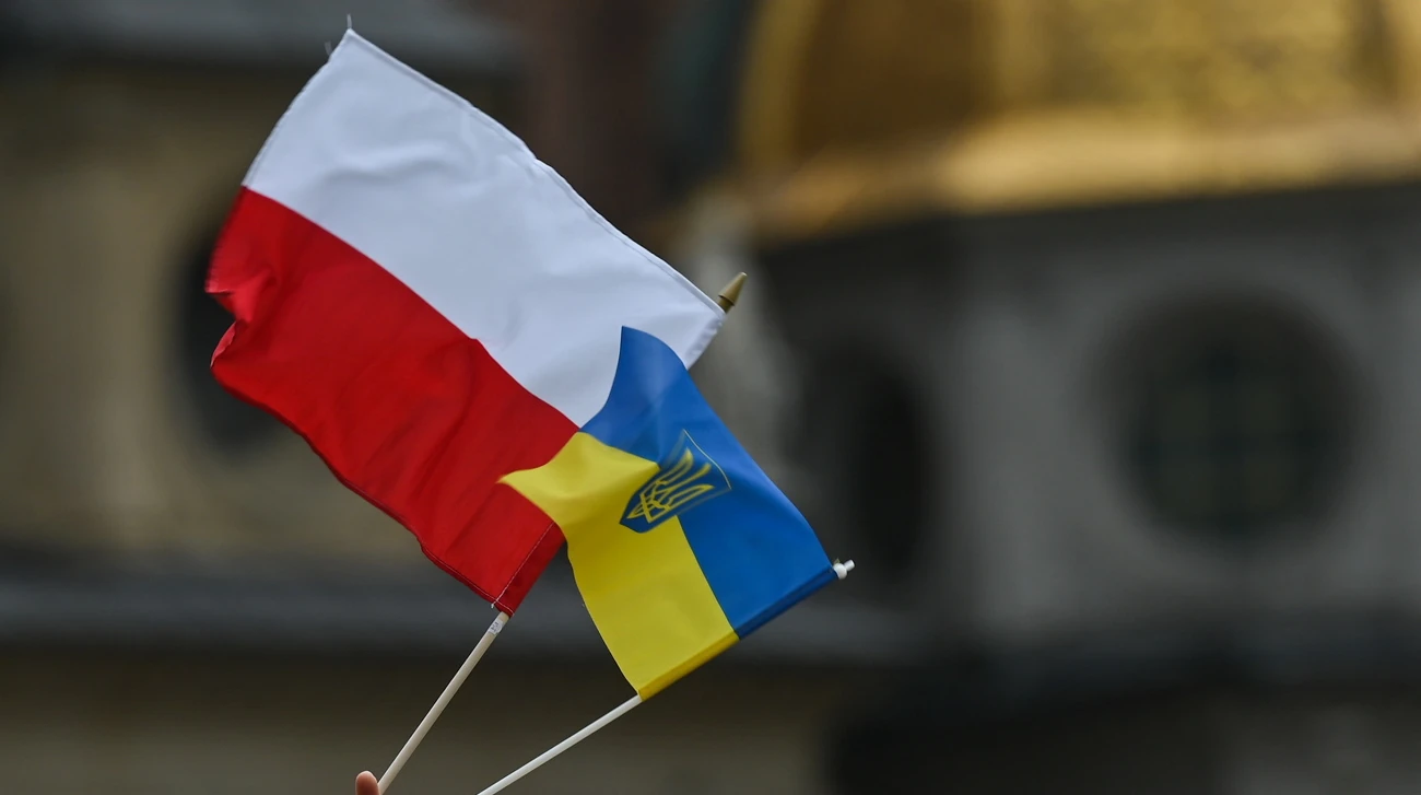 Хронологія: опитування IBRiS, пропозиція ПіС і реакція МВС Польщі щодо депортації